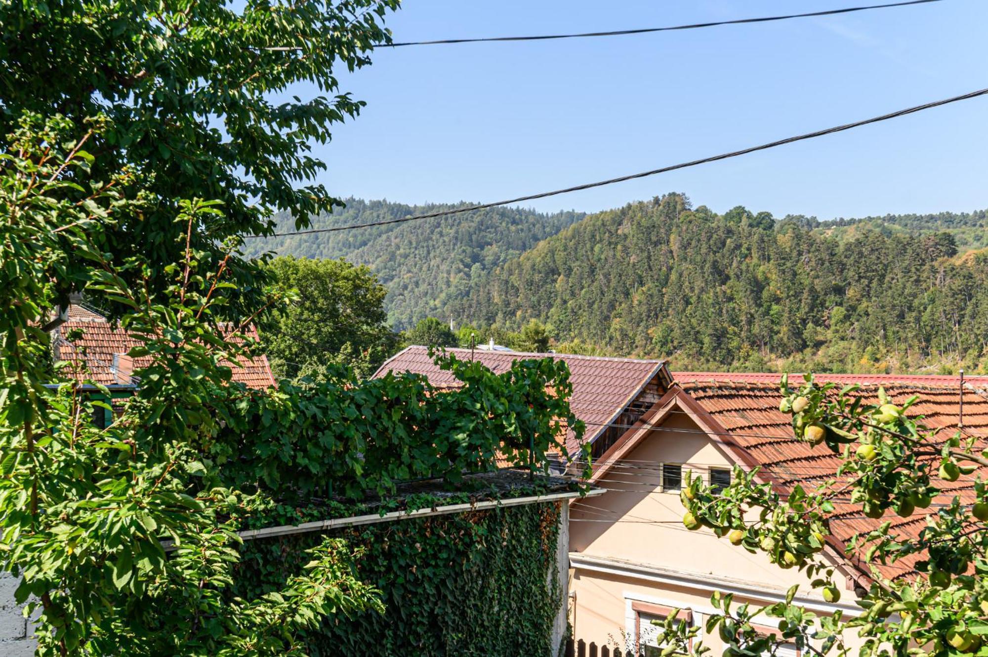Lagom - Hot Tub Hideout Braşov Buitenkant foto